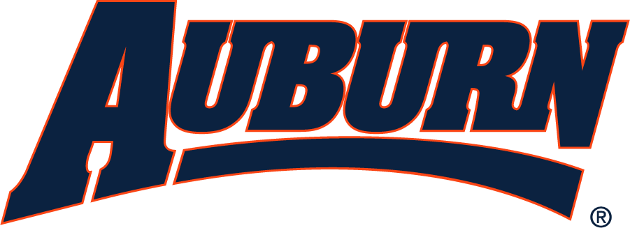 Auburn Tigers 1997-2006 Wordmark Logo DIY iron on transfer (heat transfer)